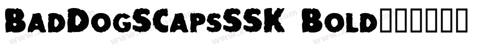 BadDogSCapsSSK Bold字体转换